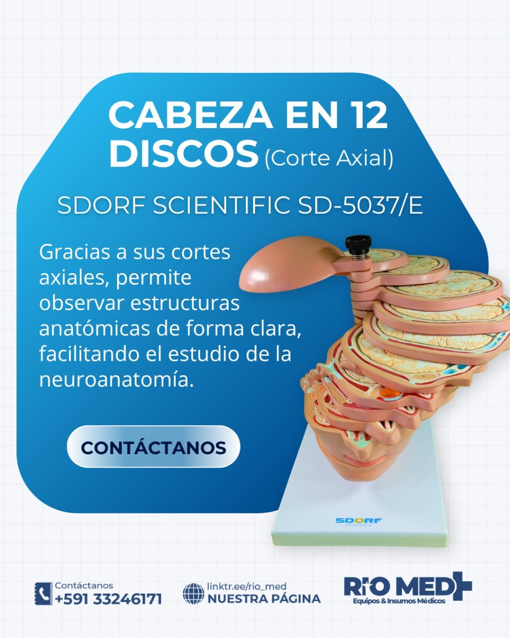 Cabeza en 12 discos Sdorf SD-5037/E