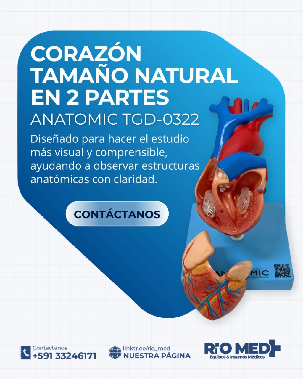 Corazón anatómico Anatomic TGD-0322